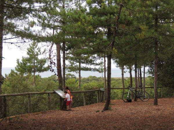 Camping Le Bois Verdon Saint-Jean-de-Monts Luaran gambar
